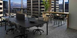 Astra Tower Gallery 17