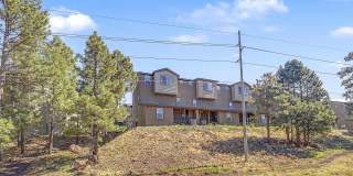 2561 W Cripple Creek Drive Gallery 26