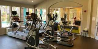 Sonoma Ridge Gallery 6