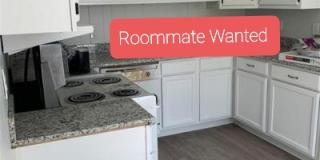 2341 Caddy Dr Gallery 1