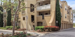 Laurel Terrace Apartment Homes Gallery 8