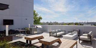 The Launch Gallery 27