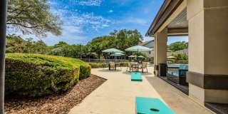 Paradise Island Gallery 49
