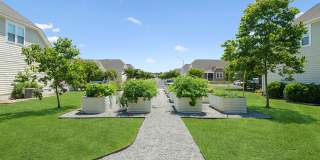 Cadia Myrtle Landing Gallery 27