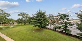 Belcrest Plaza Gallery 17