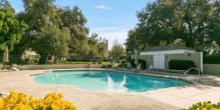 31 Oak Knolls - . Gallery 43