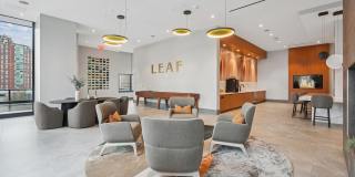 The Leaf Gallery 19