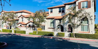 33590 Willow Haven Lane - #102#102 Gallery 1