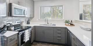 Almaden Lake Village Gallery 8