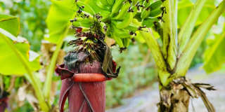 27657 Tennessee Street - 1 Gallery 14