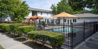 Driftwood Apartments Gallery 21