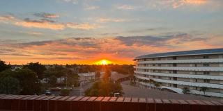 1523 E Hillsboro Boulevard unit: 335 Gallery 21