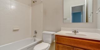3012 Dusty Chisolm Trl Pflugerville, TX 78660 Gallery 19