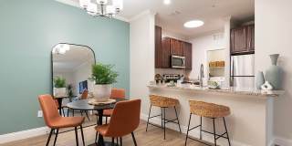 Lake Nona Watermark Gallery 16