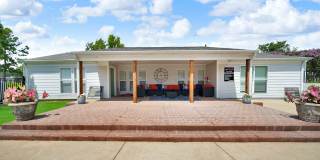 The Stella The Stella Gallery 5