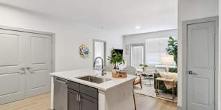 The Belle at the Lamar Gallery 14