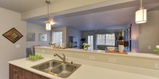Avaya Trails Gallery 10