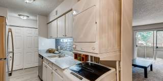 Boulder Crossroads Gallery 11