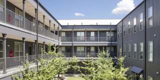 Thrive Argenta Gallery 39