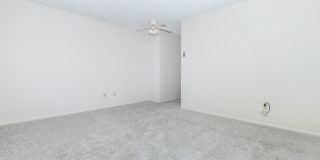 Riviera Vista Apartments Gallery 20