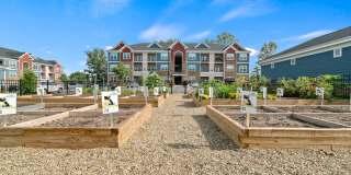 Hawthorne at Weaverville Gallery 20