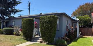 Cozy 1bd 1 ba Available NOW Cozy 1bd 1 ba Available NOW Gallery 8