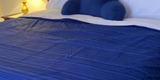 2 Bedroom 2 Bath, Condo for Rent! Gallery 11