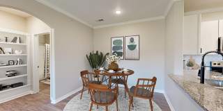 The Shores Apartments Gallery 5