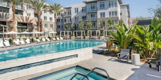 The Asher Gallery 25