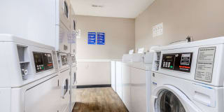 Hickory View Gallery 46