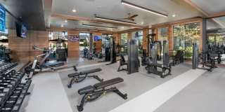 Timberline View Gallery 24