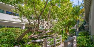 Sunset Barrington Gardens Gallery 2