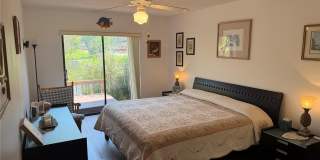 804 PALM HARBOR COURT Gallery 9