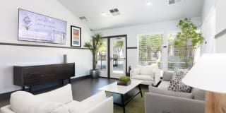 Autumn Springs Gallery 1