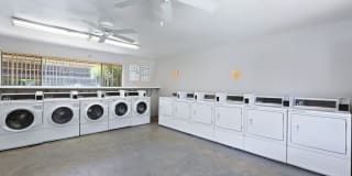 Monte Vista Gallery 15