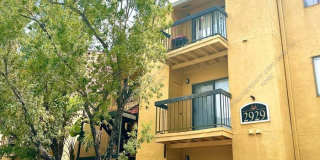 2929 Winkler Avenue Gallery 1