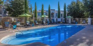 Port Royale Gallery 8