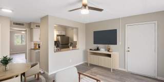 Rise Thunderbird Gallery 1