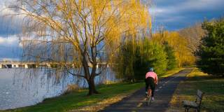 Bridgeyard Gallery 29