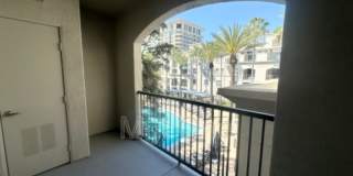 2379 Scholarship Gallery 11