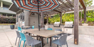 Skyline Terrace Gallery 16