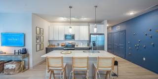 The Tristan Gallery 4