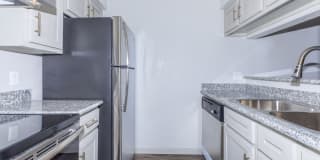 The Shore Gallery 15