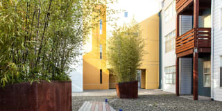 Soma Residences Gallery 5