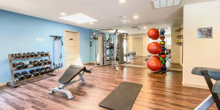 Tenison at White Rock Gallery 13