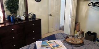 Alexis Park Gallery 7