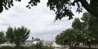 2012 MOUNT ROYAL Gallery 47