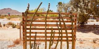 61886 Calle Los Amigos Gallery 15