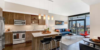 Windsor Cirrus Gallery 16