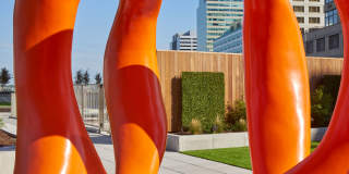 VYV Gallery 79